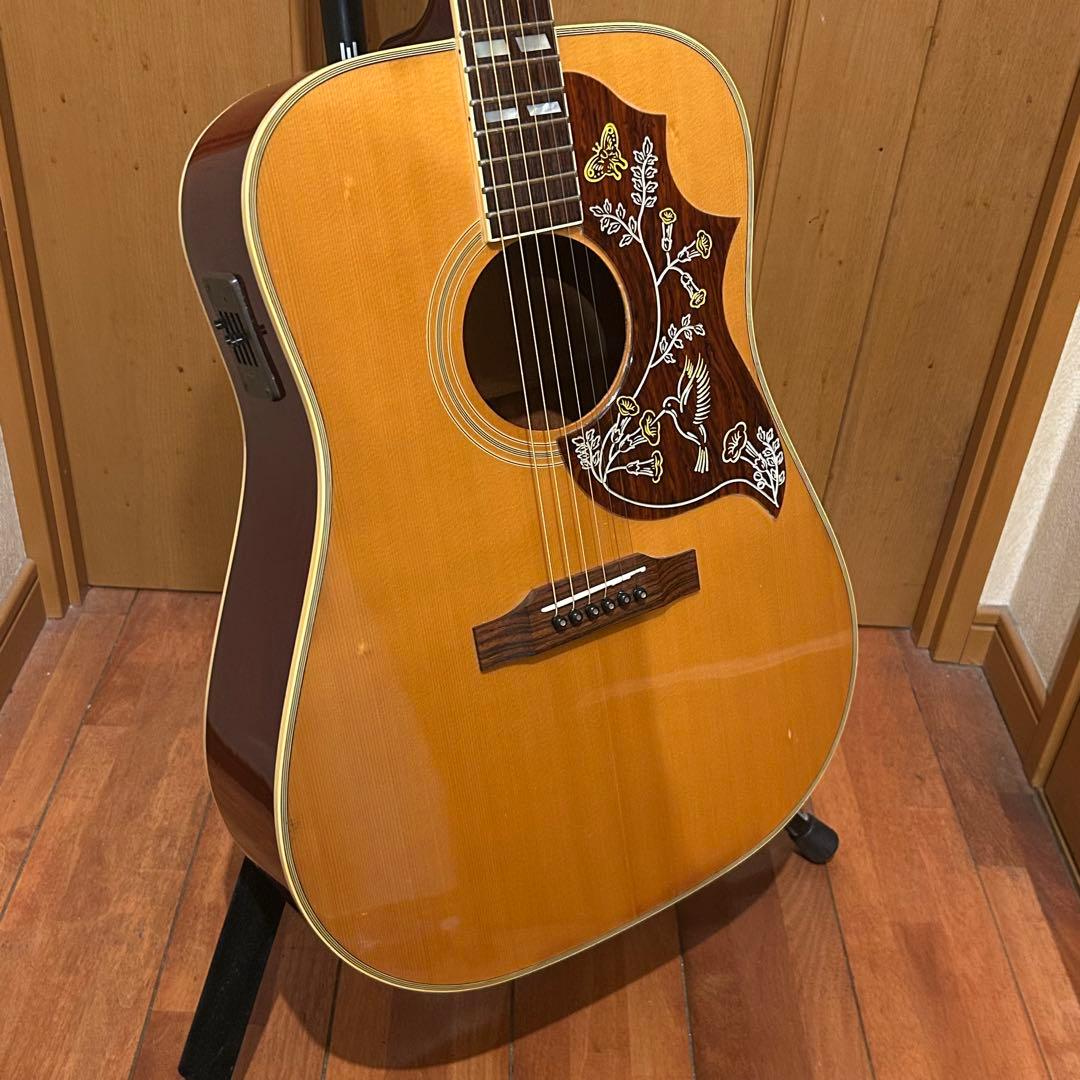 ♡*様 超レア！Orville by Gibson HUMMINGBIRDエレア