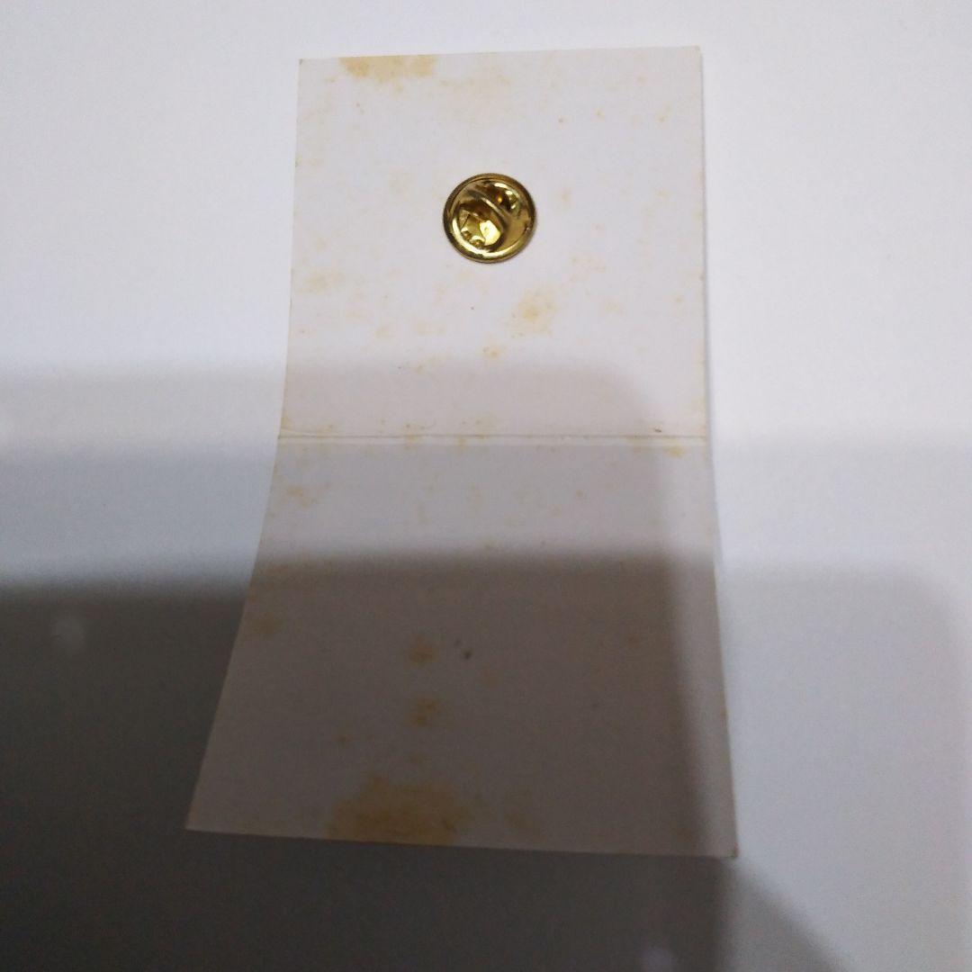 ディズニーストア ドナルドダック パルズ ピンバッジ ディズニー