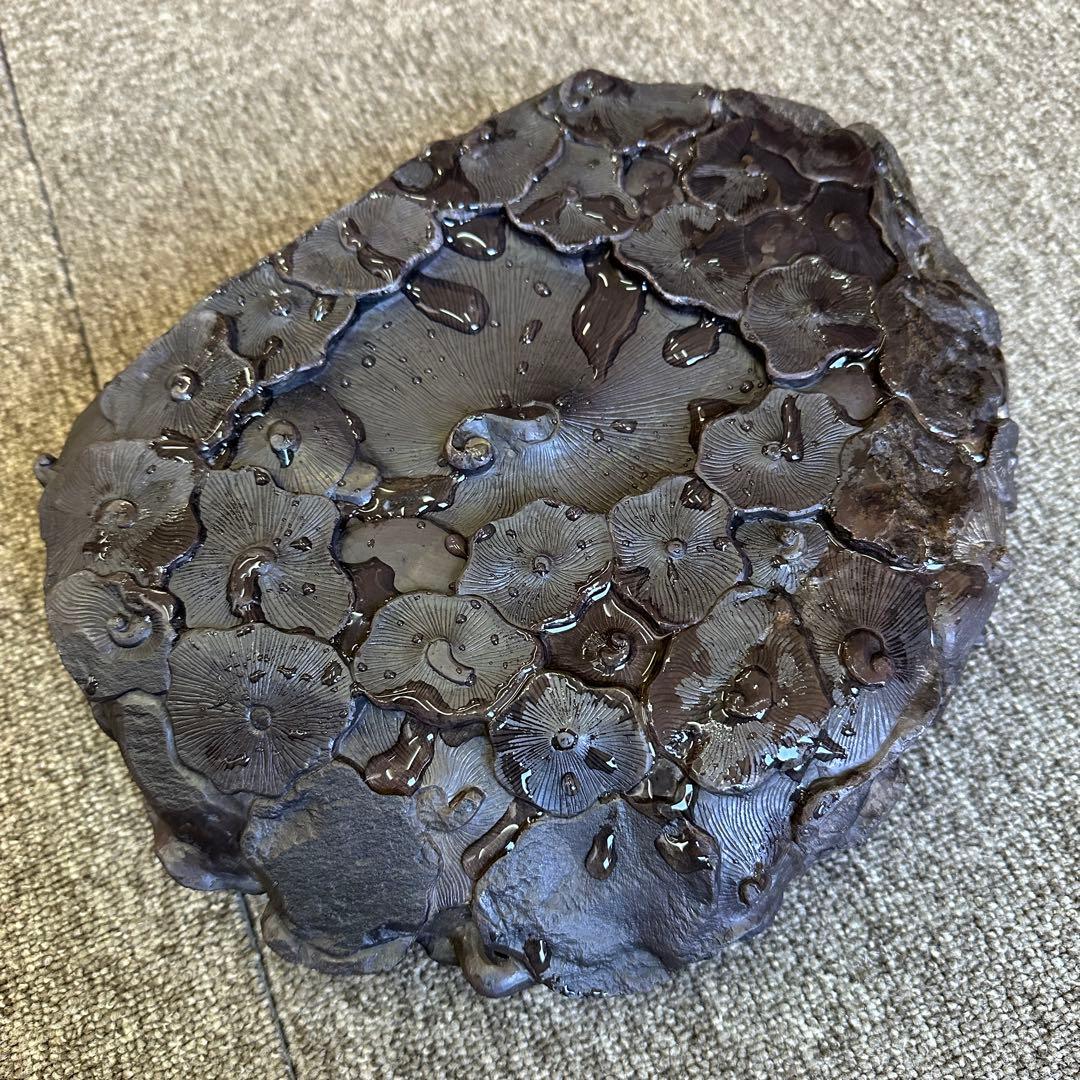 M1080S 大型 大硯 硯石　端渓◆28×27㎝重さ7.9kg唐物 眼 蓮花