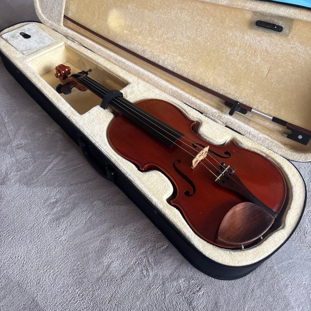 Roderich Paesold PA803Jバイオリン4/4サイズ