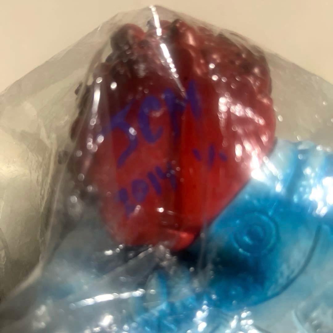 LEOソフビ坊や 偶像怪獣 ソフビ フィギュア ワンオフ