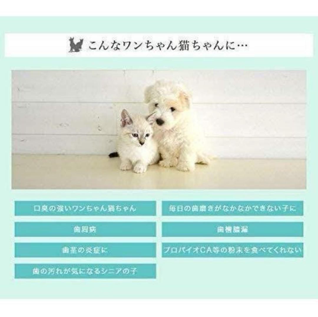 プロバイオミスト 犬、猫 口臭予防 スプレー80ml 5本セット 正規品