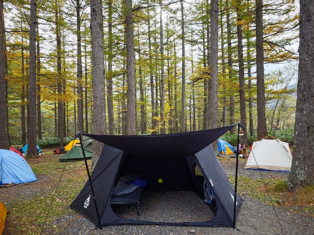 OneTigris NEBULA SOLO STEAD 黒色