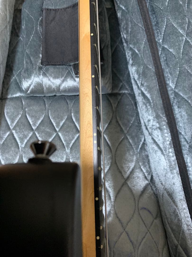 ギター　Caparison Dellinger7 キャパリソン　アクリルピック付