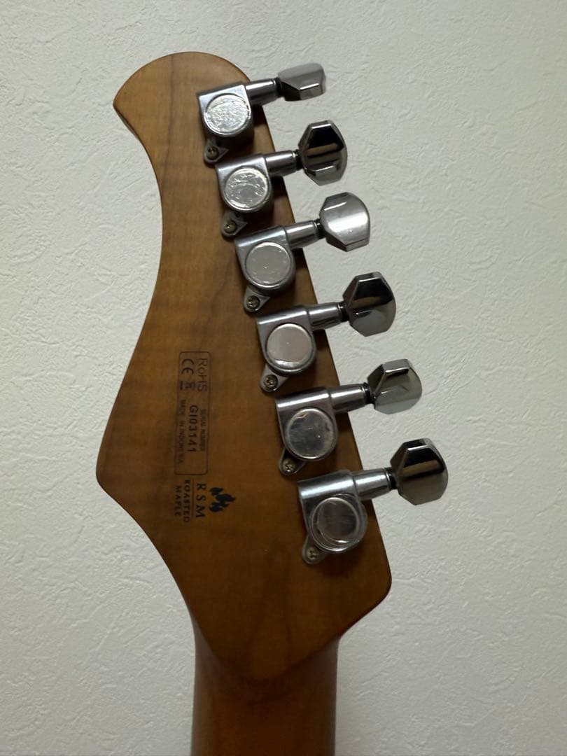 BACCHUS バッカス テレキャスター