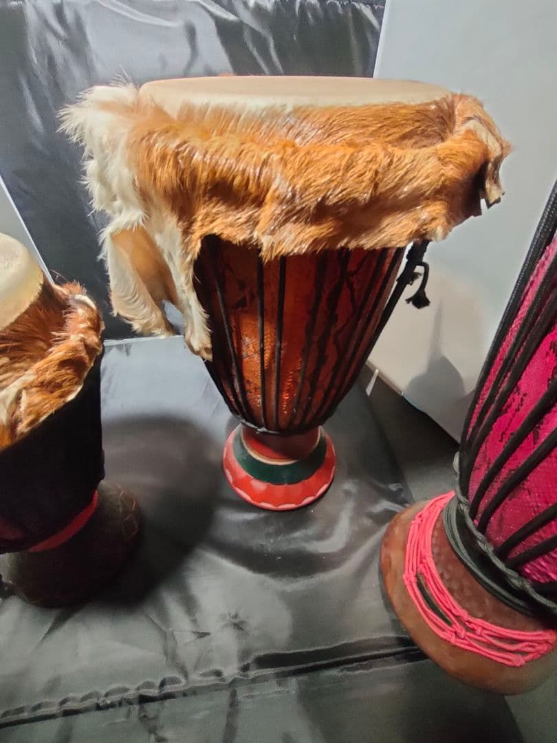 3本セット 西アフリカパーカッション 本場のセネガル産 ジャンベ レアな蛇革