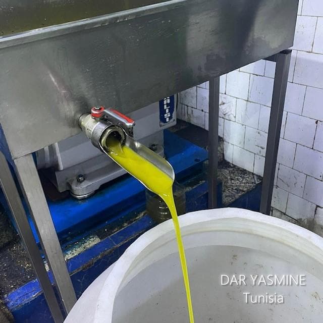 エキストラバージンオリーブオイル　コールドプレス手摘み　500ml×12本セット