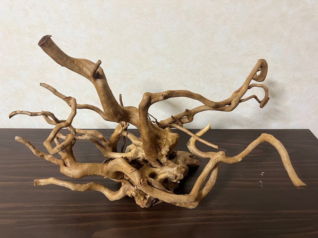 70215 ブランチウッド　流木　アクアリウム　沈水確認済