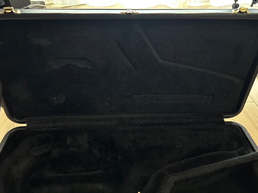 ヤナギサワ　アルトサックス・ケース