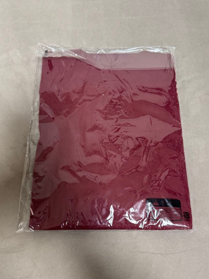 ミセス ライブ Tシャツ エデンの園 名古屋