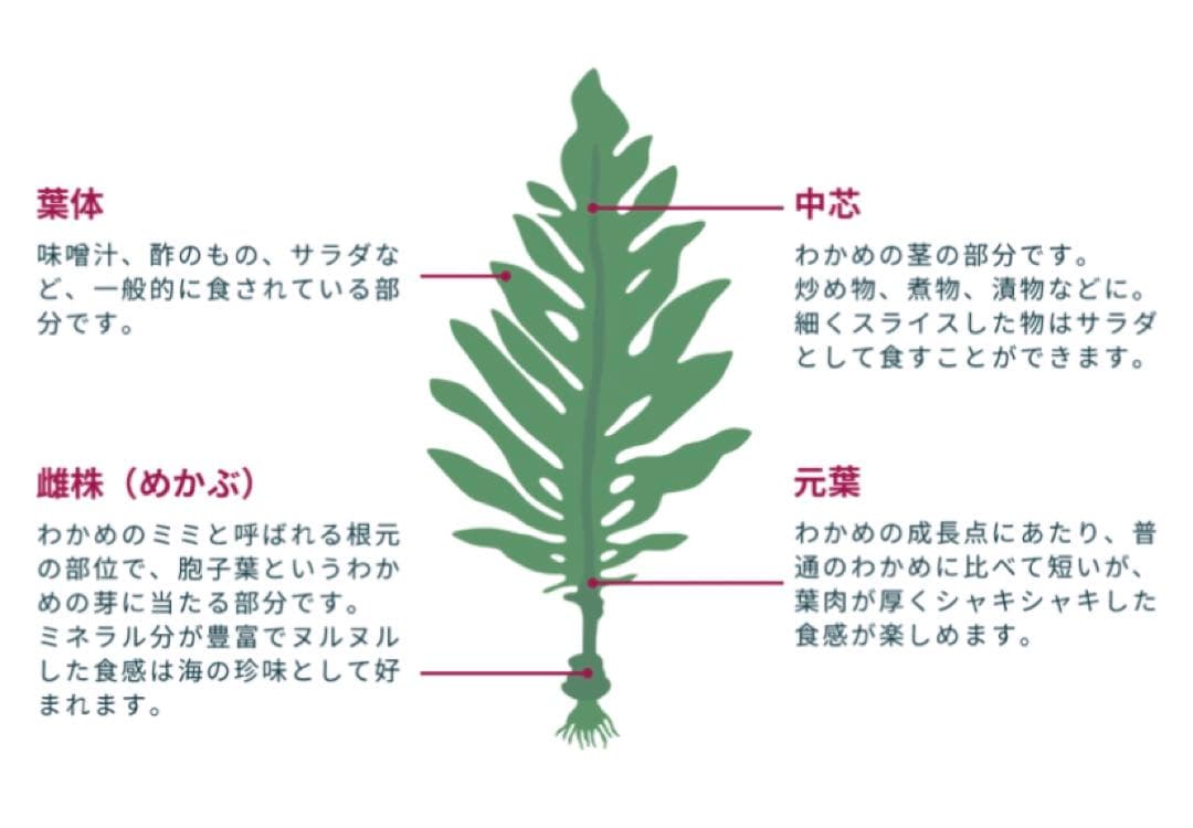 元茎わかめ　宮城県石巻産　新もの！15キロ
