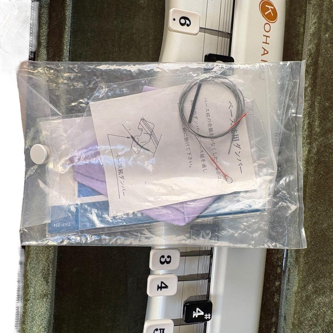 美品 限定色　動作OK！スズキの伝統音色を継承した電気大正琴ソプラノモデル