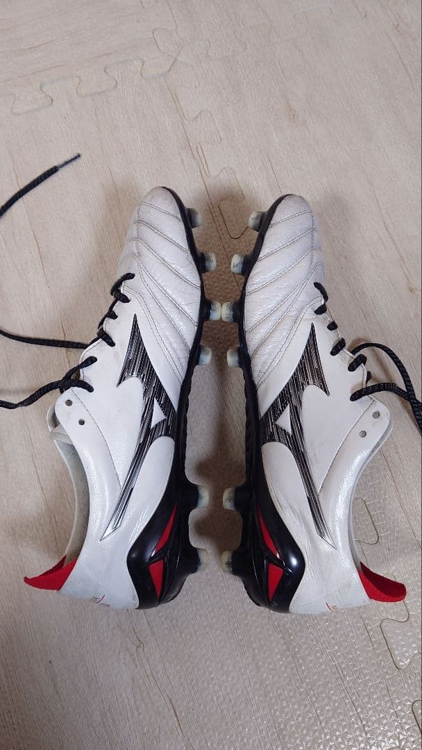 モレリアネオ4　25.0cm