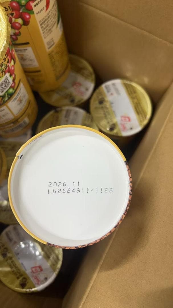 ネスカフェ ゴールドブレンド エコ＆システムパック 95 g ＋10ｇ　12箱