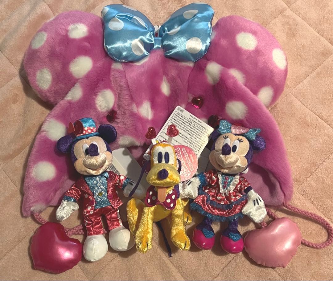 ち*※様 ミニー@ファンダーランド　ぬいぐるみバッジ3点セット