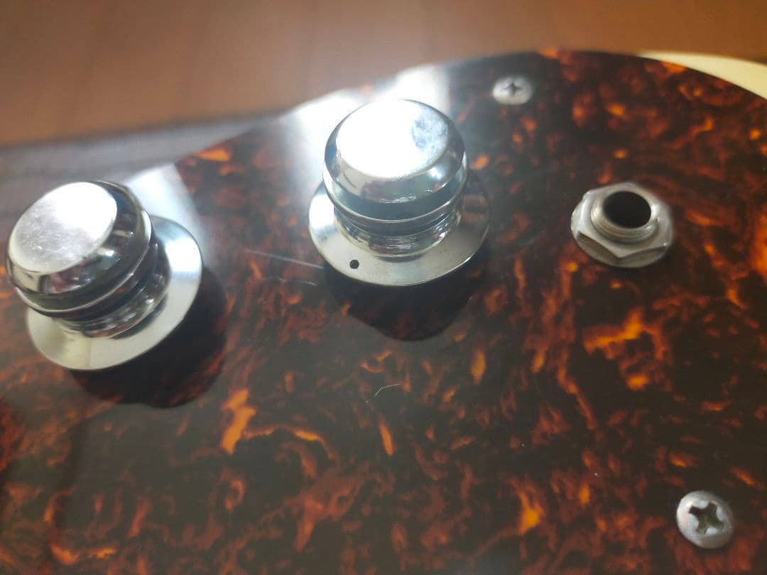 モズライトUSA-The Ventures　 　(セミモズレーサイン)入り