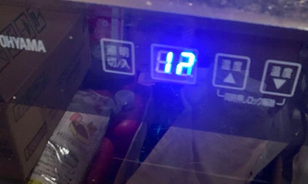 ドムス　アウレア　1998　木箱入り