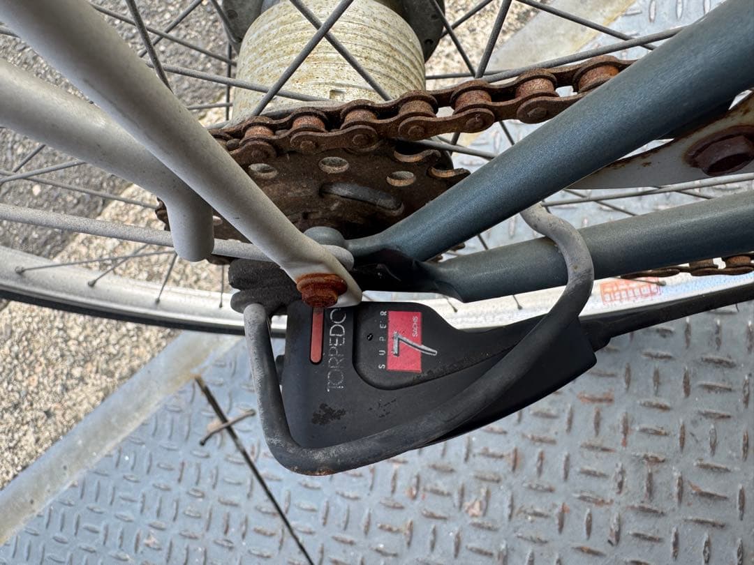 アイルトンセナ自転車