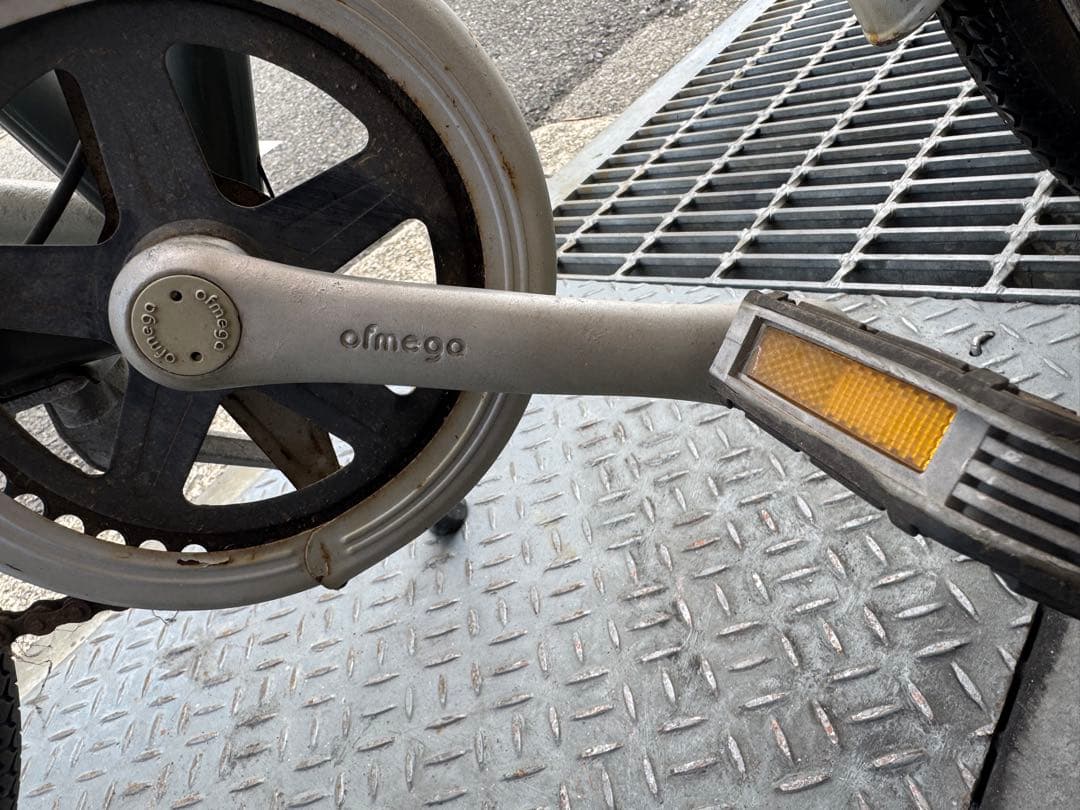 アイルトンセナ自転車