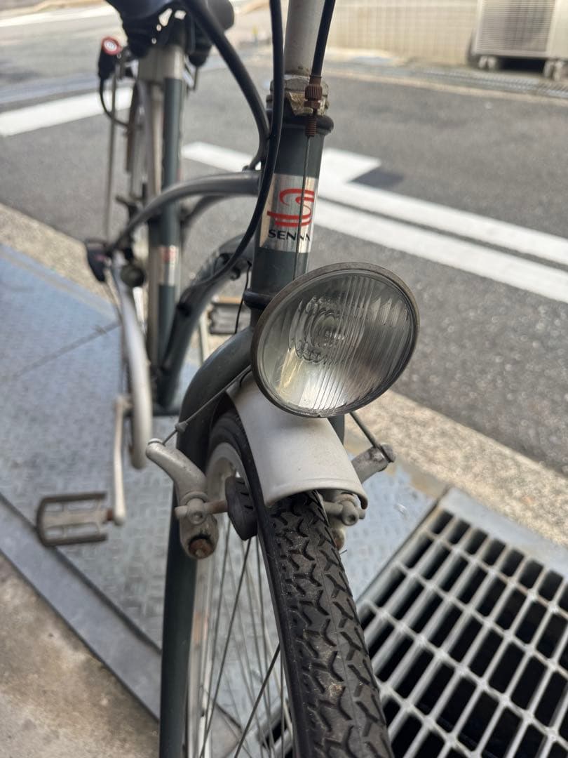 アイルトンセナ自転車