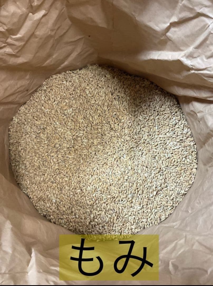 令和7年度　京都府産　コシヒカリ自家生産　説明欄必読　精米済み　30キロ