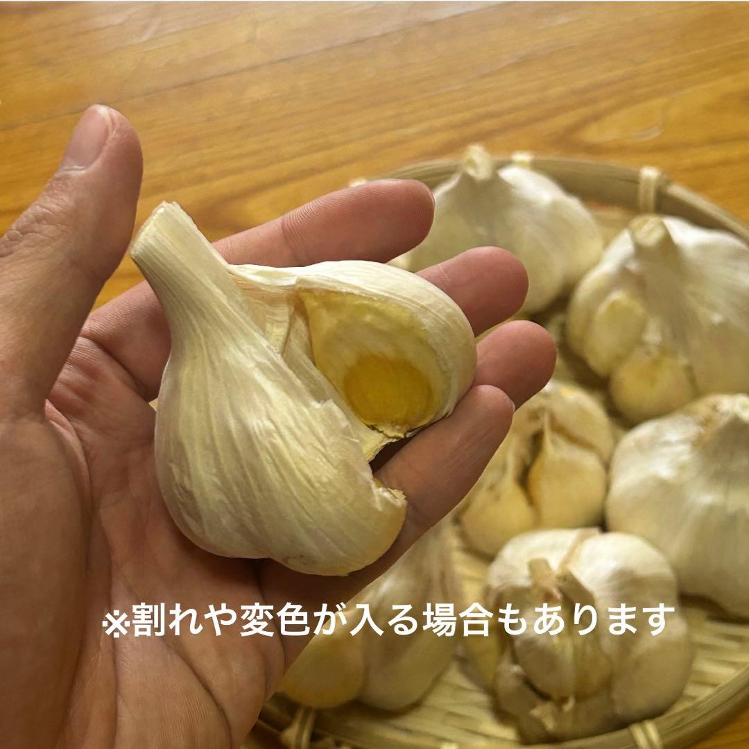 【大特価】青森県産 にんにく L 20kg 福地ホワイト 免疫力アップ 激安