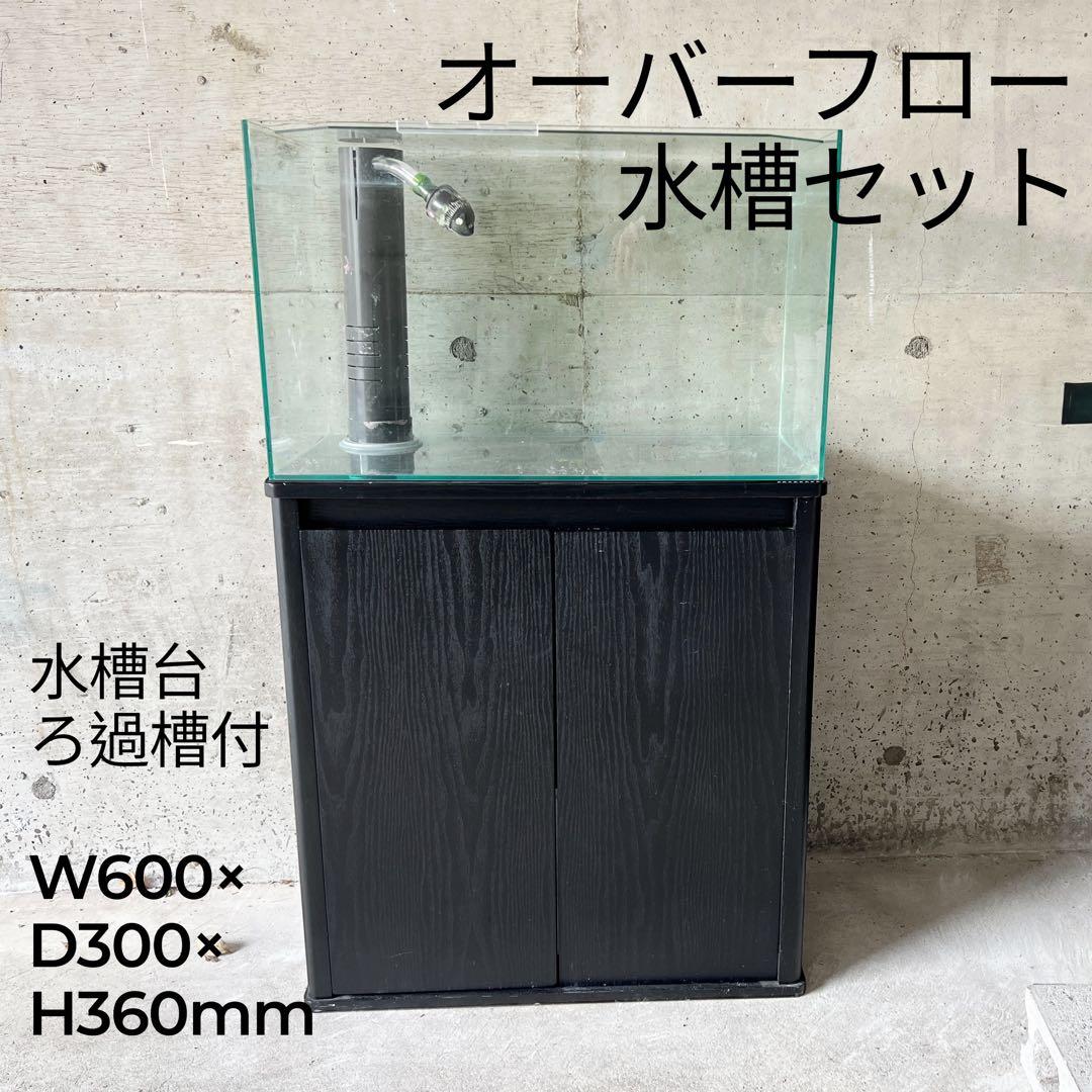 【セット・在庫残り１点】オーバーフロー水槽 セット（水槽台・ろ過槽付）