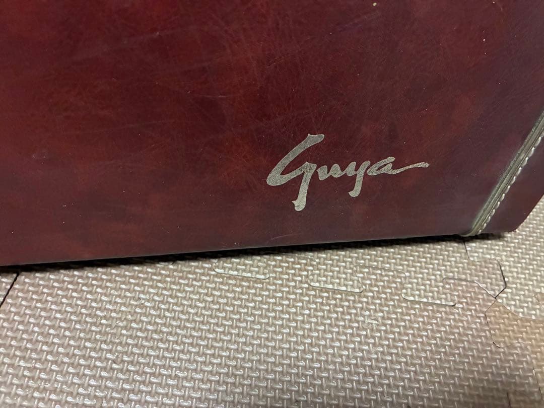 Guyatone LG-350T custom ビザール　sharp5