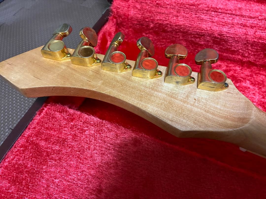 Guyatone LG-350T custom ビザール　sharp5