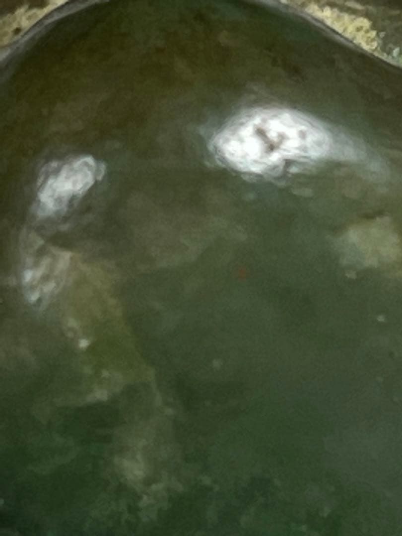 天然翡翠 翡翠原石  鑑賞石 重さ約271g 翡翠原石 送料無料