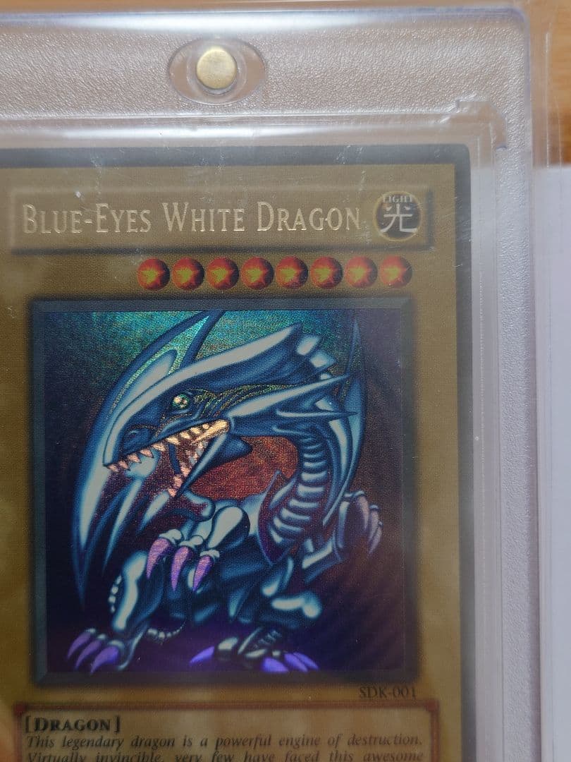【希少】青眼の白龍　sdk 　北米