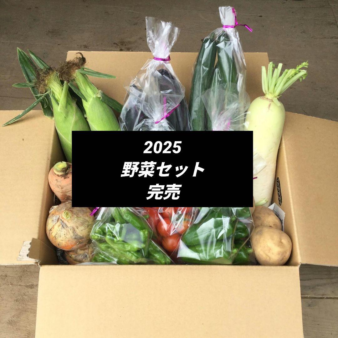 野菜セット完売