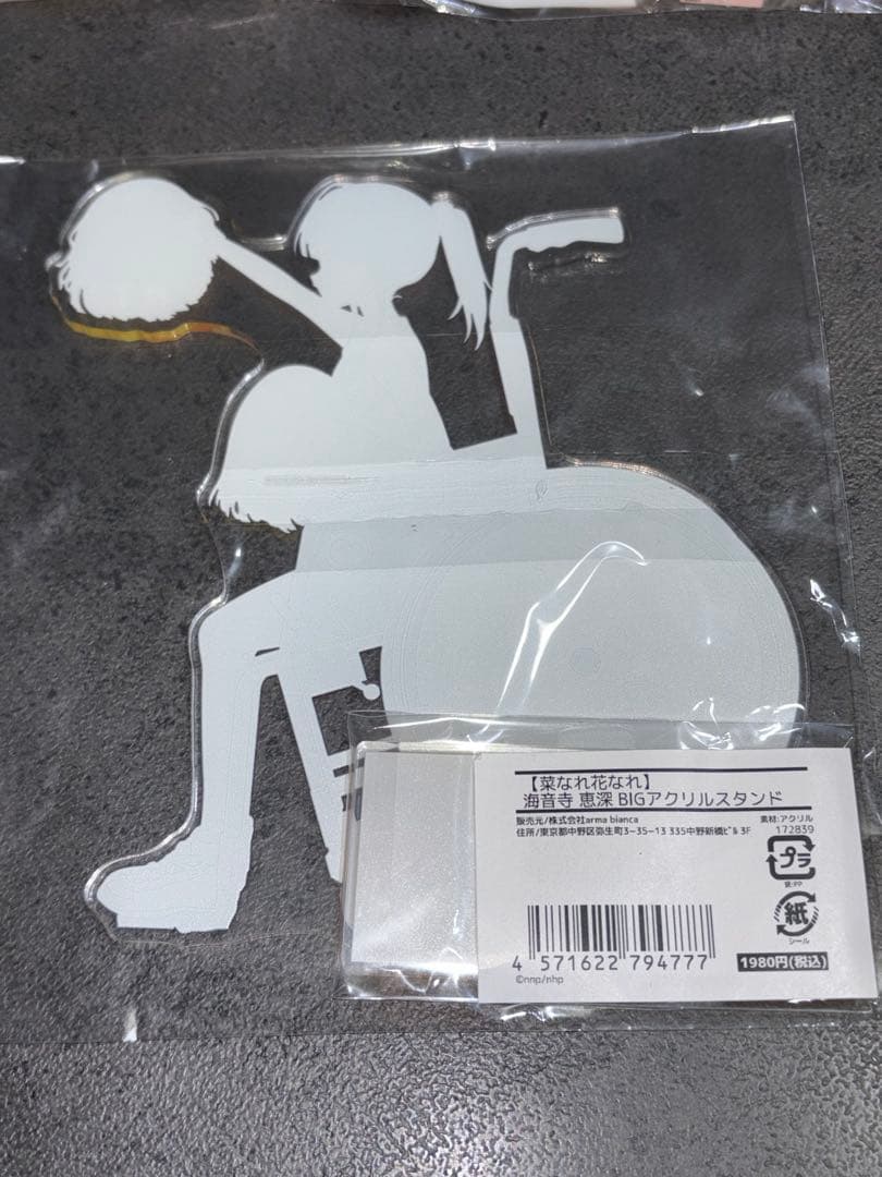 菜なれ花なれ　bigアクリルスタンド　全種セット　涼葉　詩音　恵深　かなた　チア