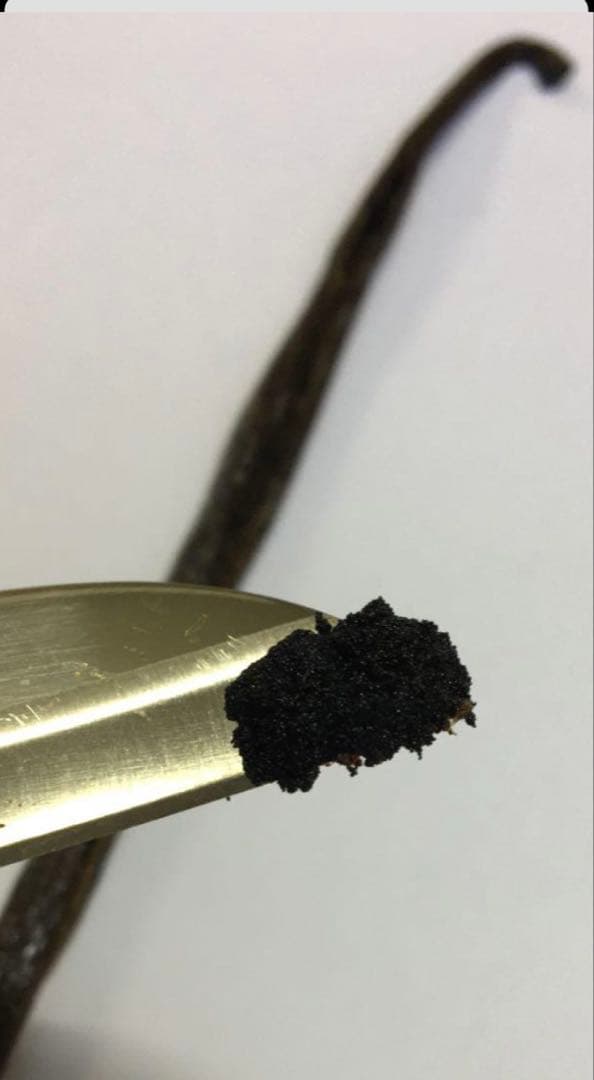 バニラビーンズ　値下げが実現‼︎ マダガスカル産Aグレード 1kg