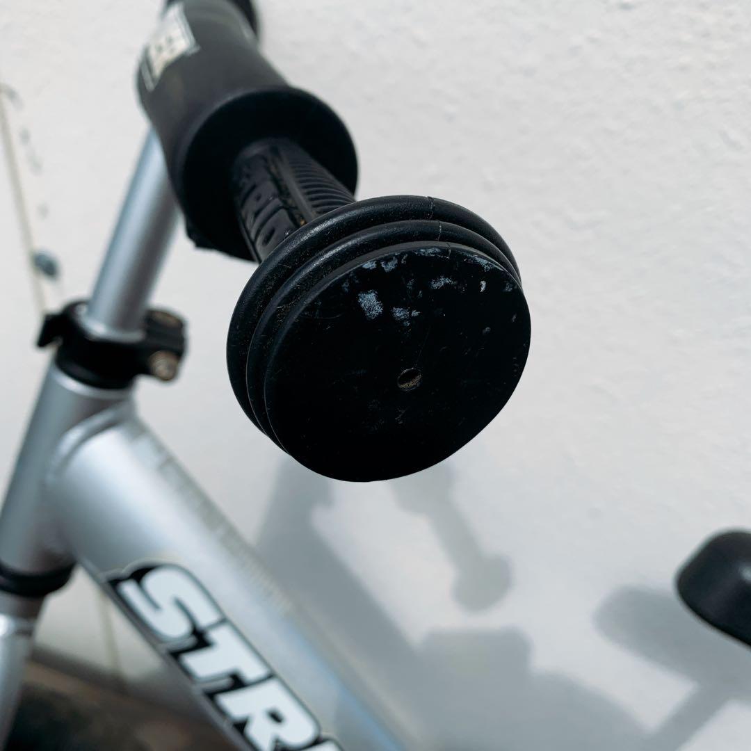 STRIDER Pro シルバー アルミ 12インチ プロテクター付き