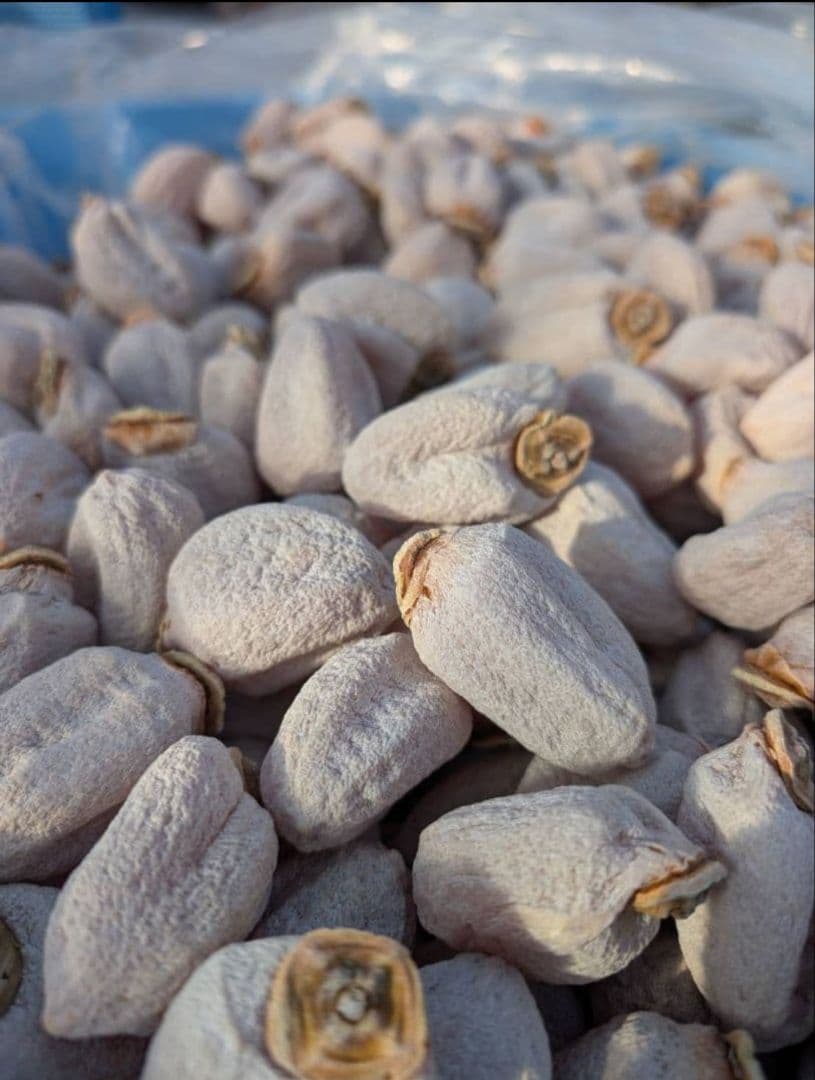 ⑬ 中玉 市田柿 ６kg 2Lサイズ 長野県産 農家直送 干し柿