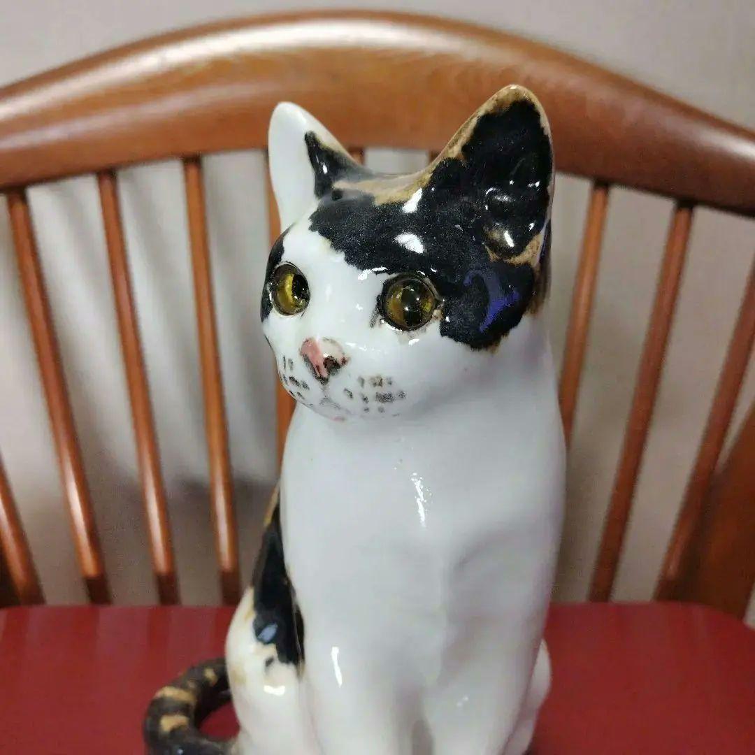 売約済、ウィンスタンレイキャット（ケンジントンキャット）サイズ４&２の２匹セット