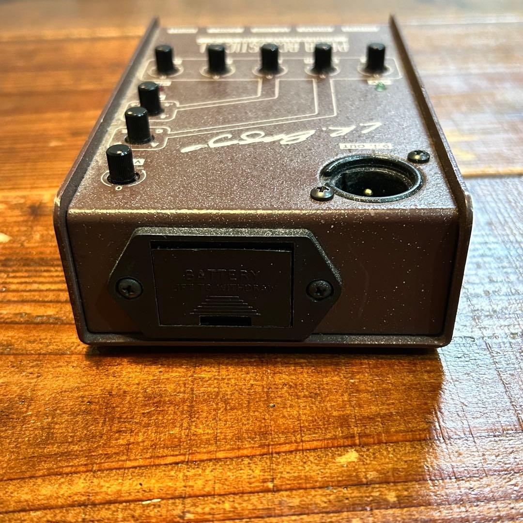 ギター PARA Acoustic L.R.BAGGSE