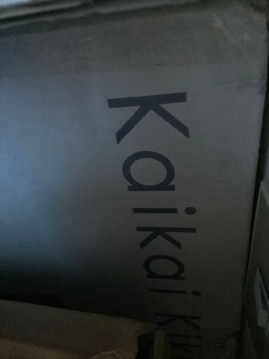 青島千穂「骸骨の泉」2008