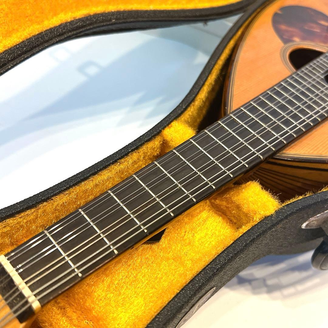 マンドリン SUZUKI NO.100 渦巻きヘッド　リブ彫り込み　スズキ