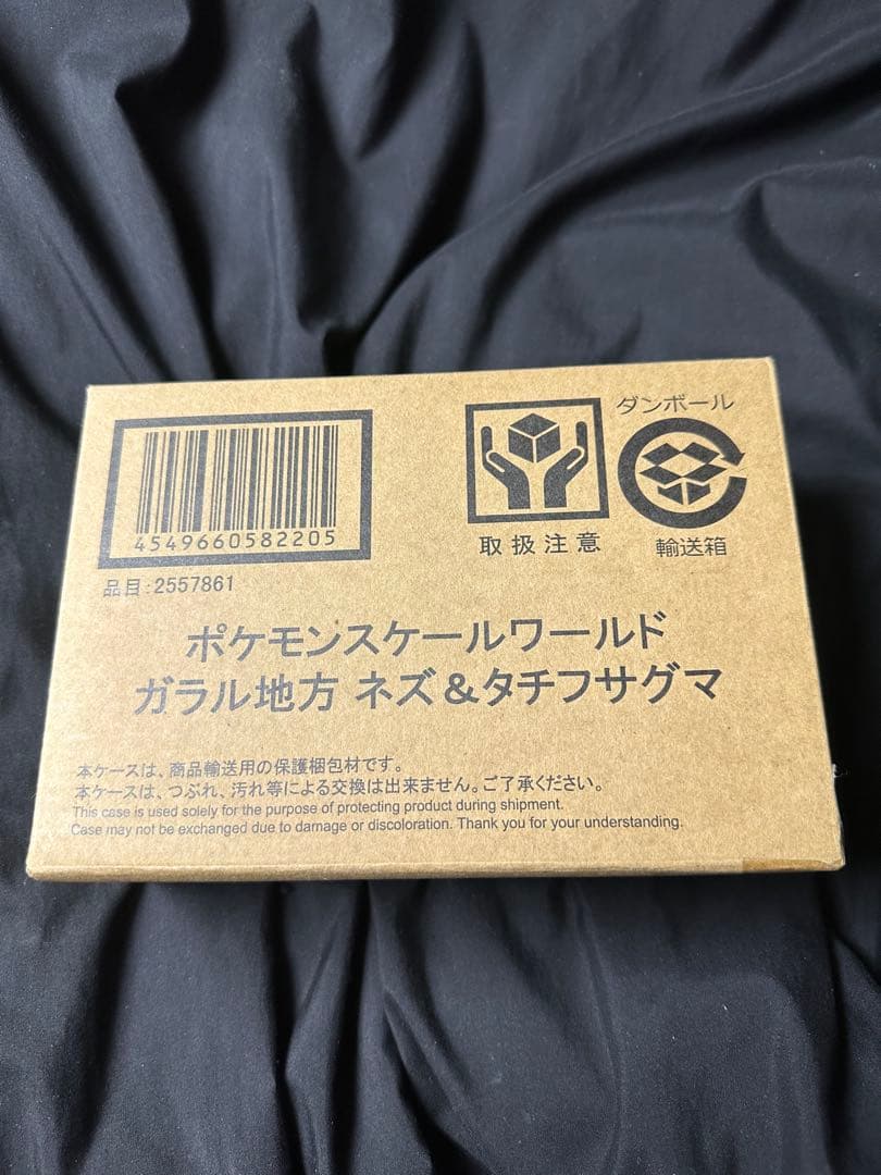 ポケモンスケールワールド ガラル地方 ネズ＆タチフサグマ