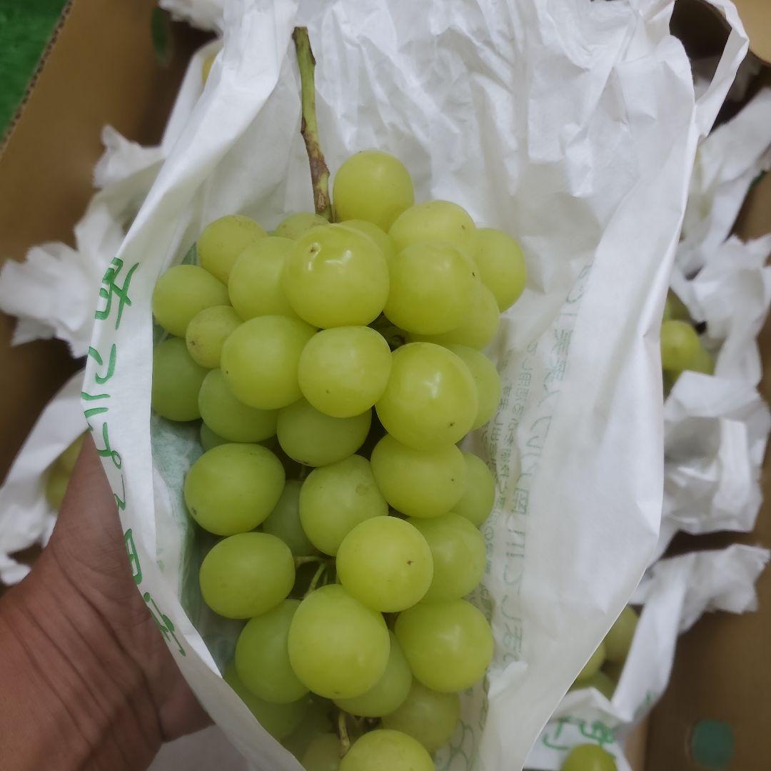 3️⃣ 山梨県産 シャインマスカット １１房入り 箱込み5.5キロ