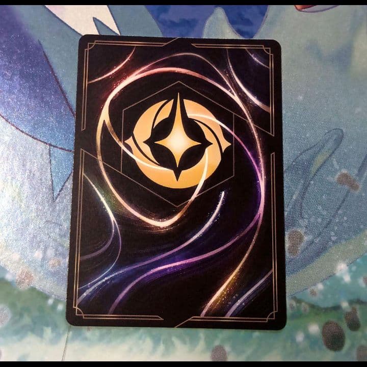 ロルカナ サメマウイ 2枚セット