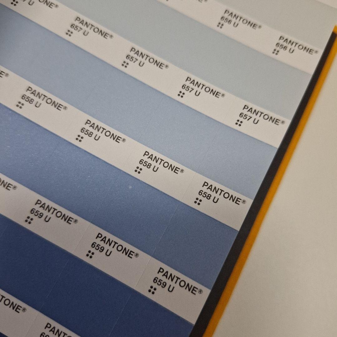 【PANTONE】 solid chips uncoated カラー見本