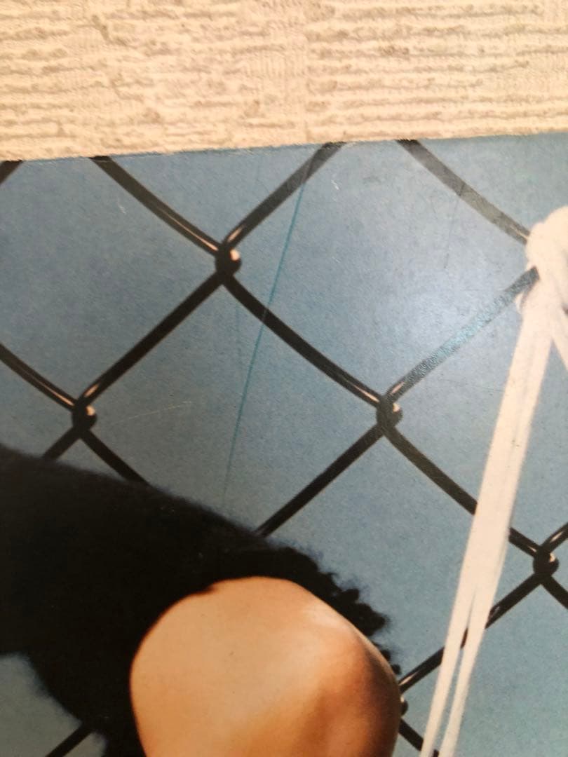 BoA 非売品　レア　パネル　スケッチャーズ skechers ①