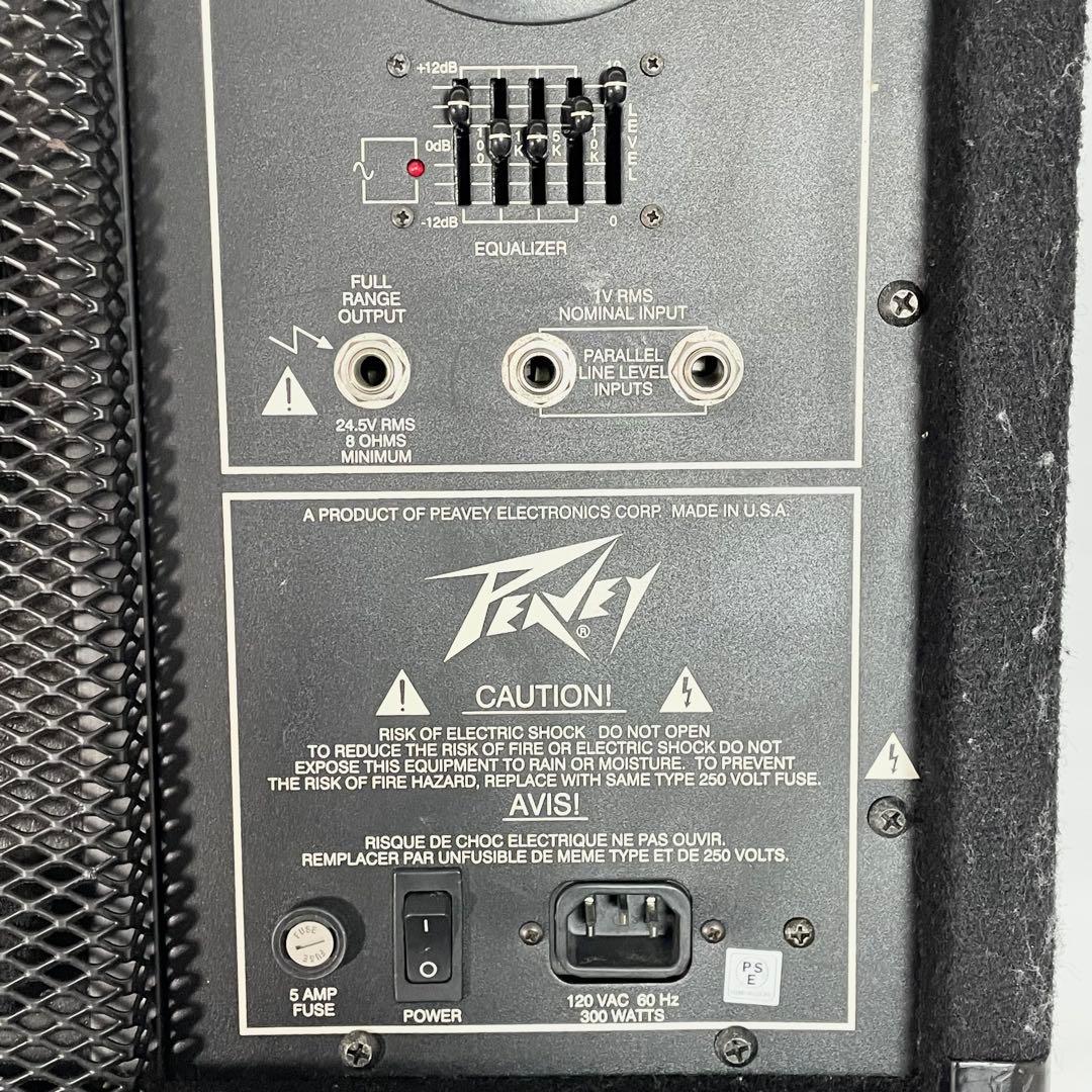Peavey 112PM パワードフロアモニター