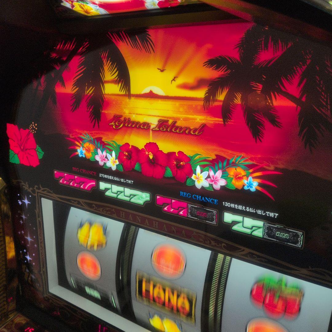 【美品】New ハナハナゴールド