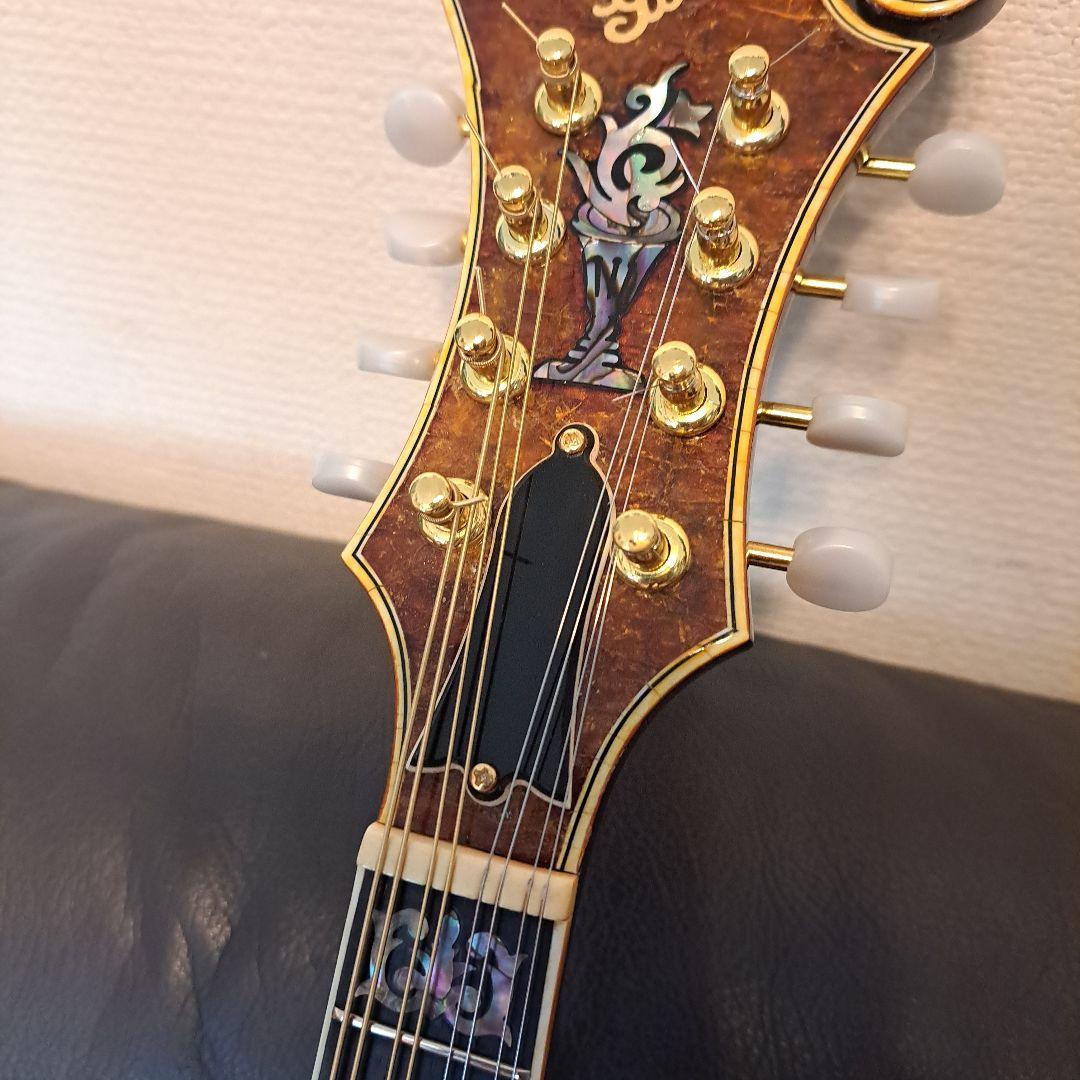 超希少！アイバニーズ 524ヴィンテージ、フラットマンドリン！