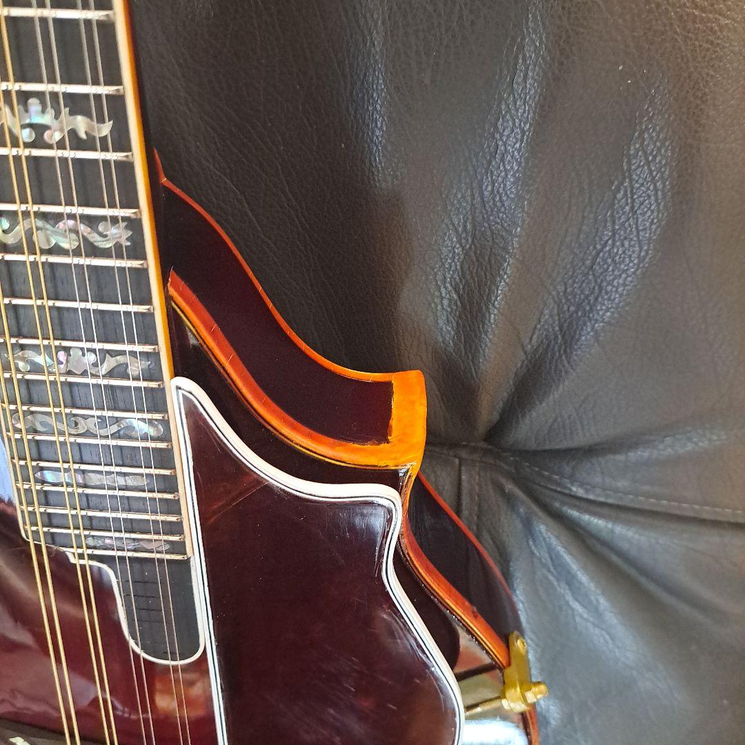 超希少！アイバニーズ 524ヴィンテージ、フラットマンドリン！