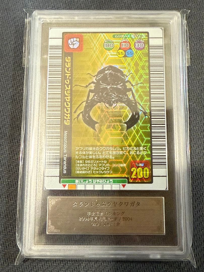 ARS10 タランドゥスツヤクワガタ　ムシキング　2004年夏限定